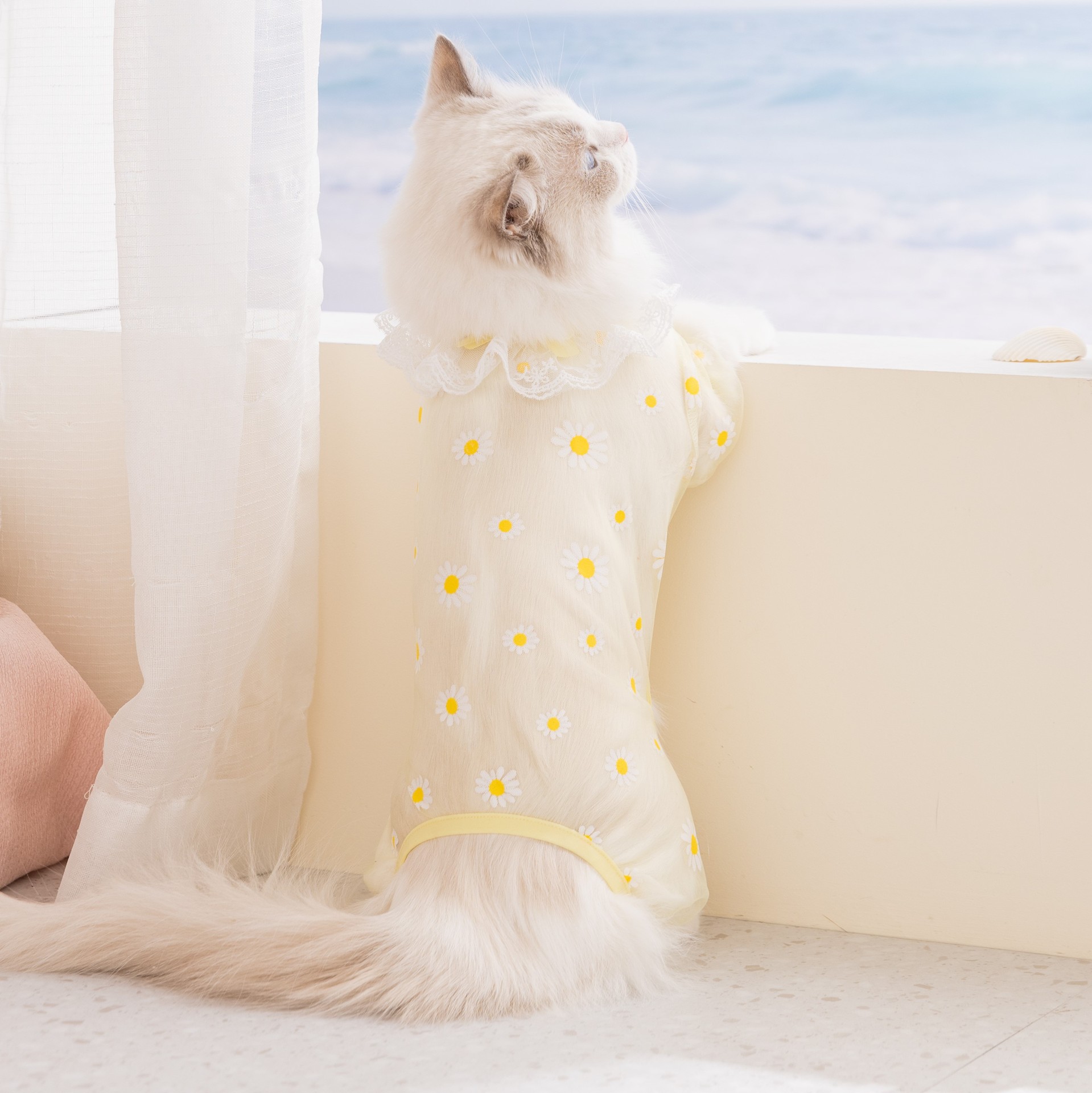 2枚セット、春/夏用メッシュ素材の猫用服、薄手で通気性の良い - Summer Clothing Wraps のレビューと価格