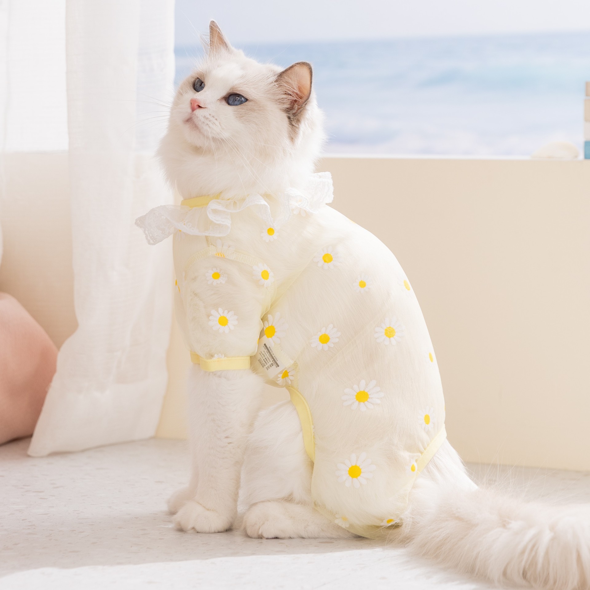 2枚セット、春/夏用メッシュ素材の猫用服、薄手で通気性の良い - Summer Clothing Wraps のレビューと価格